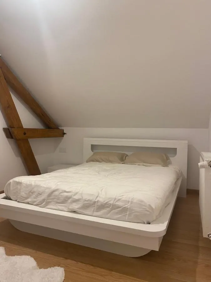 Maison 5 Chambres 2 Salons Saint-Pierre-en-Faucigny France