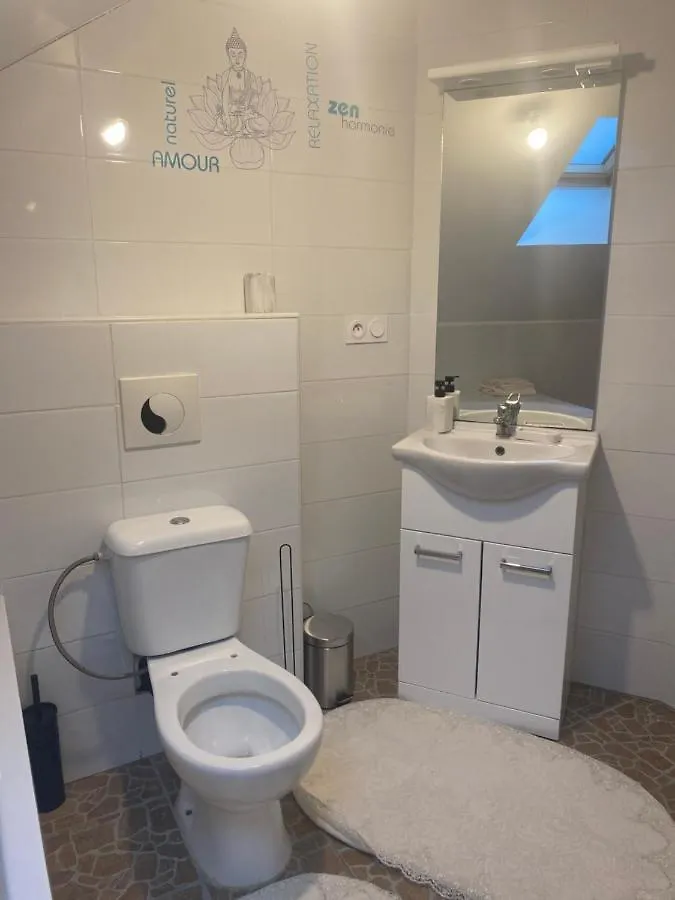 Maison 5 Chambres 2 Salons Saint-Pierre-en-Faucigny